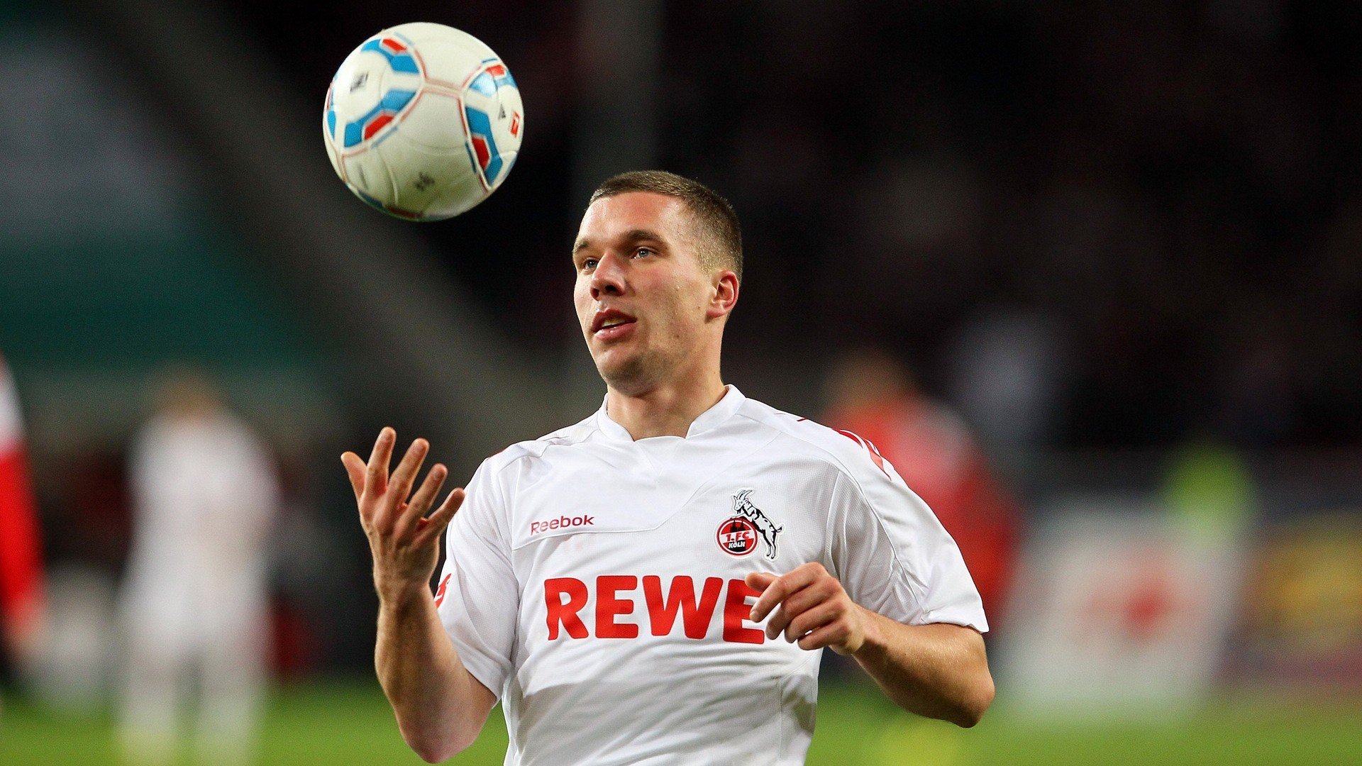 WRC赛道环境:如何适应不同地形?,wrc的赛道