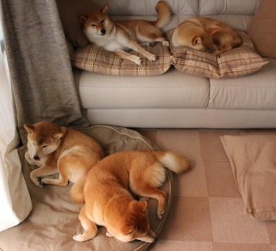 爱游戏在线登录入口-WRC赛车调校：性能提升新技术盘点，wrc赛车数据